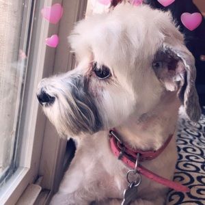 Meet your Posher, Chalida